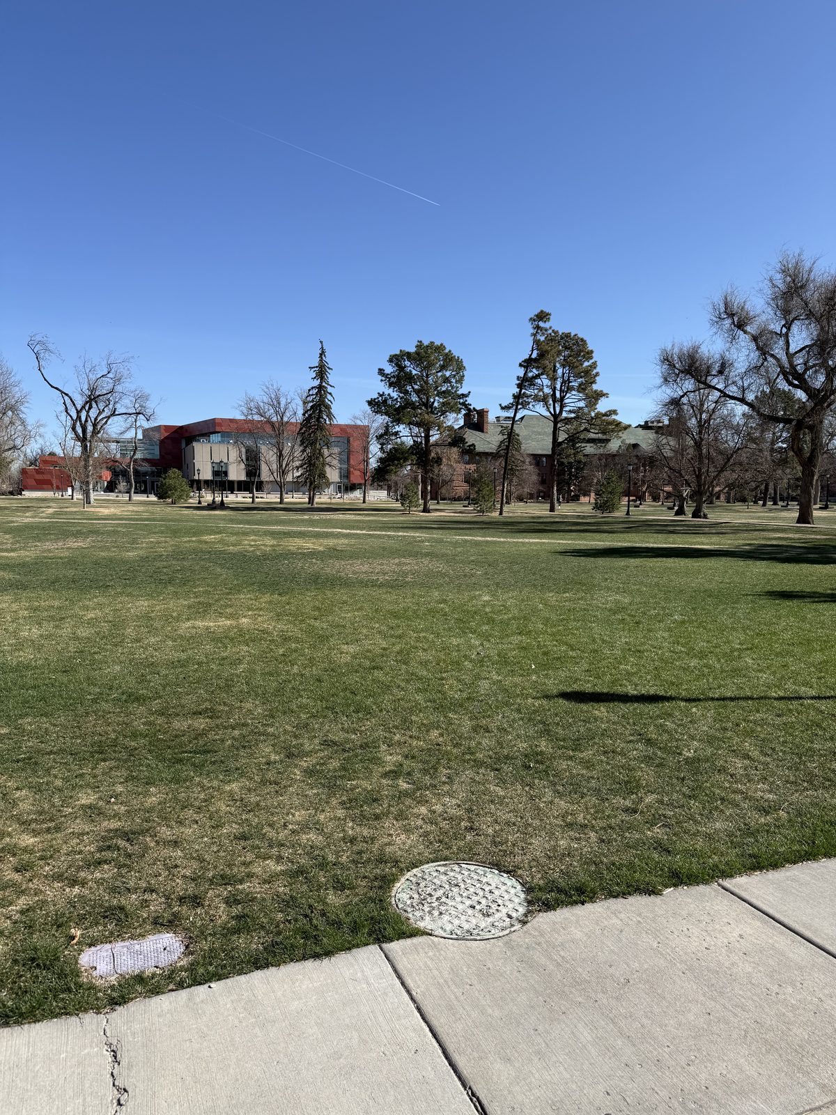 Campus lawn in early April