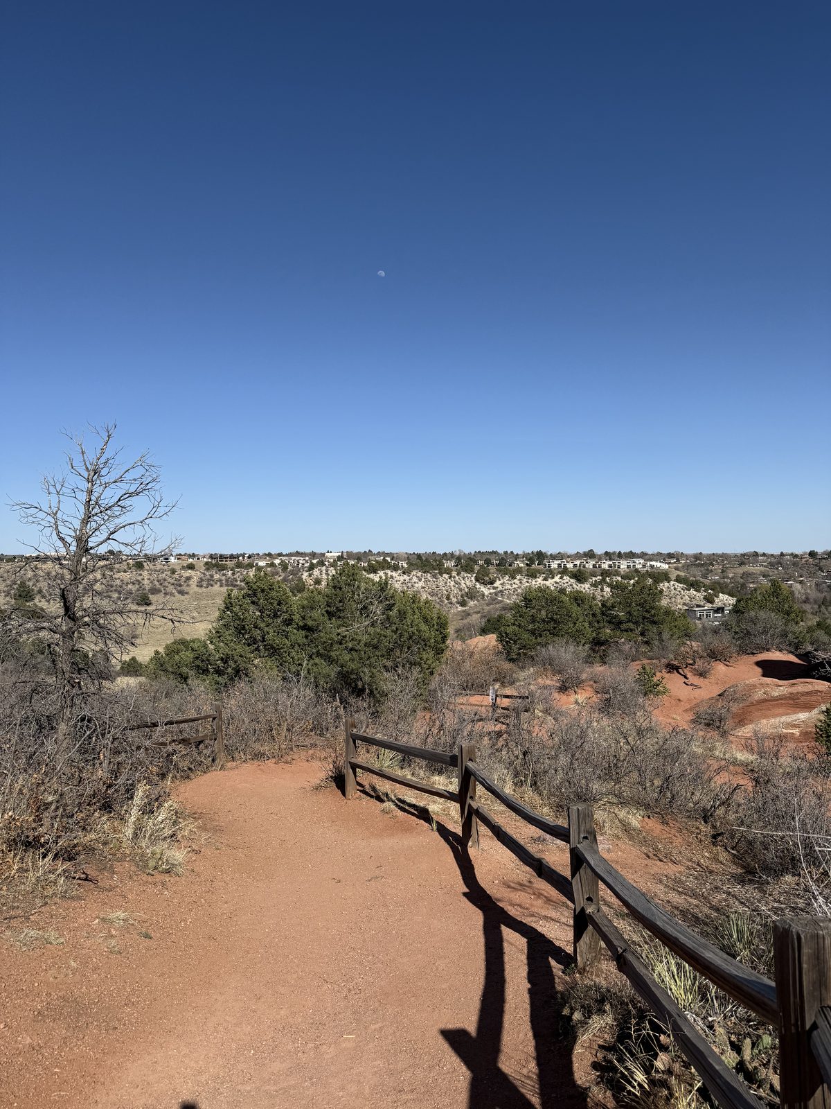 Trail with split-rail fence