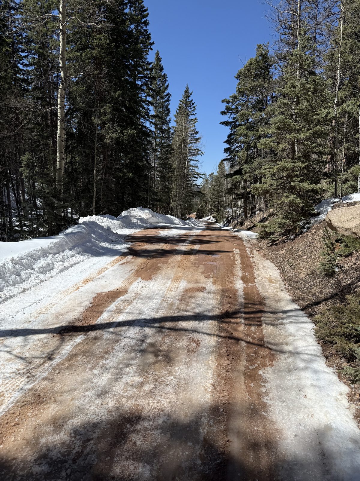 Snow-packed forest road
