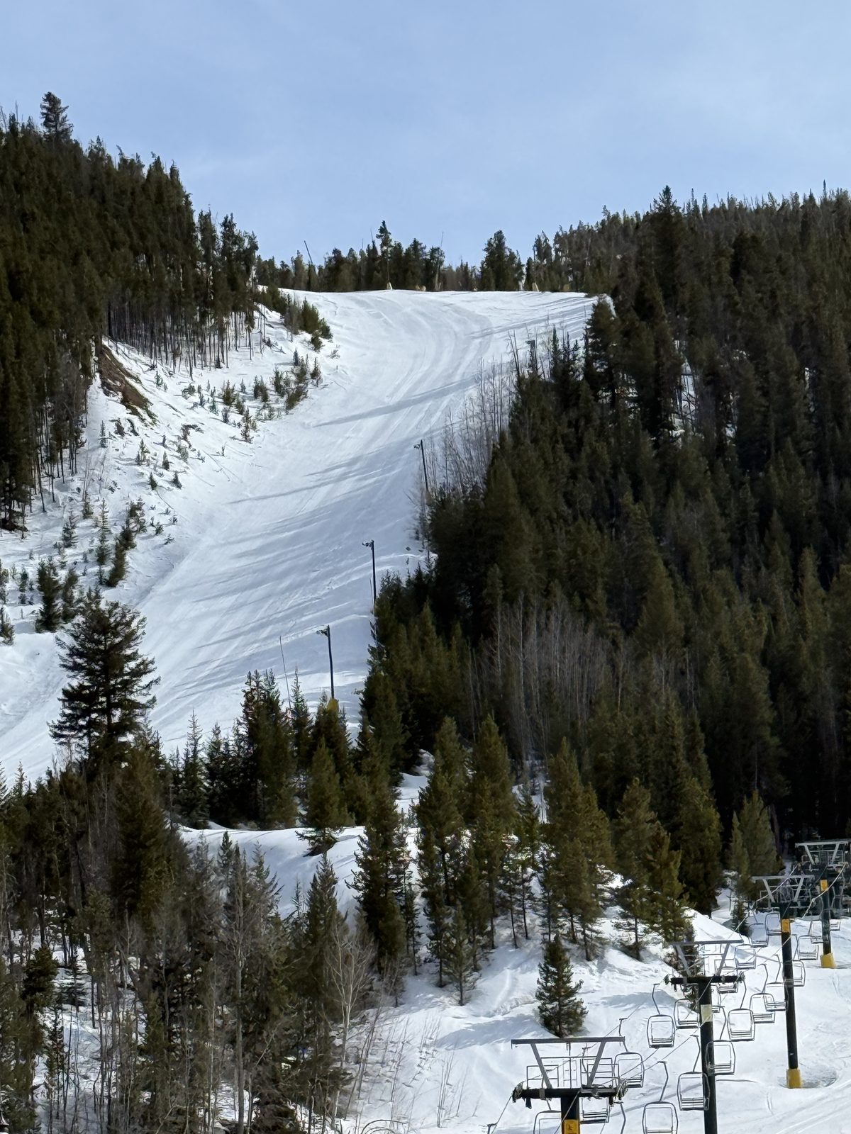 Ski run cut through the trees